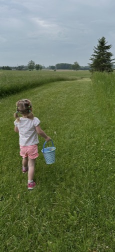A toddler carrying a bucket across a summer field, an approved photo in the child-safe gallery | Toddler Mode — toddler lock, kid-safe mode, safe screen time & parental control app for phones and tablets, ages 2 to 5